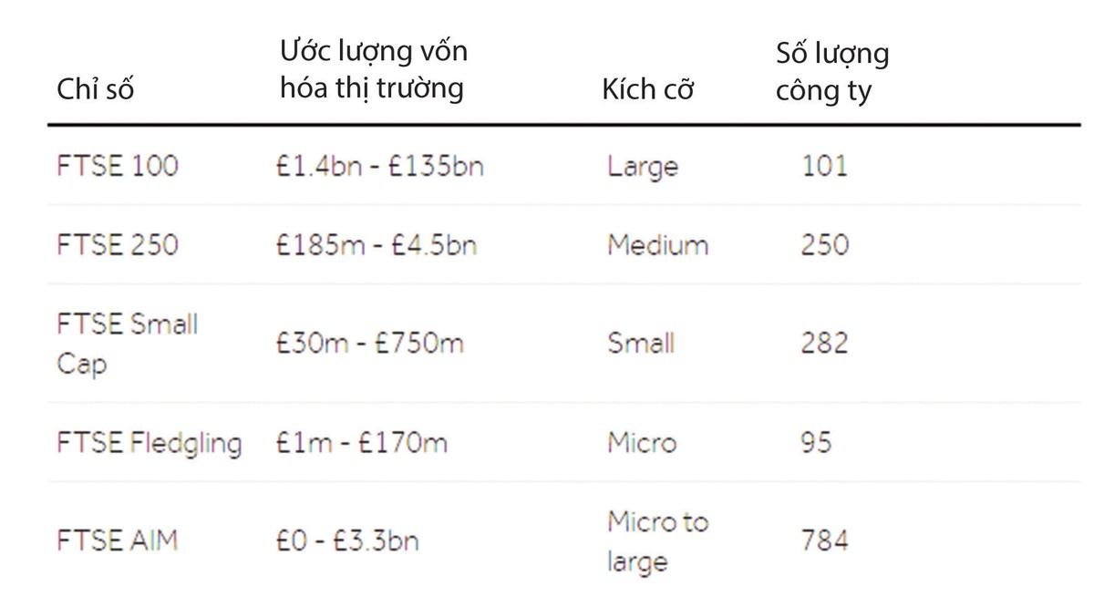 Niêm yết trên sàn London: Cơ hội nào cho doanh nghiệp Việt? ảnh 1