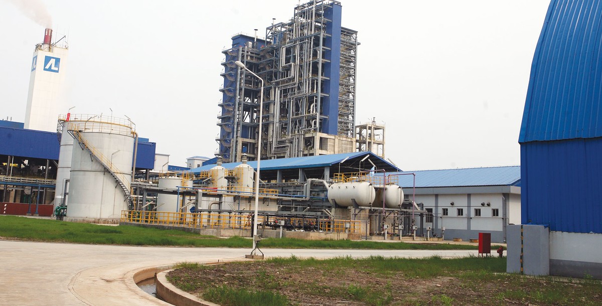 Siêu ủy ban qua tuổi “lò dò tập đi” ảnh 1