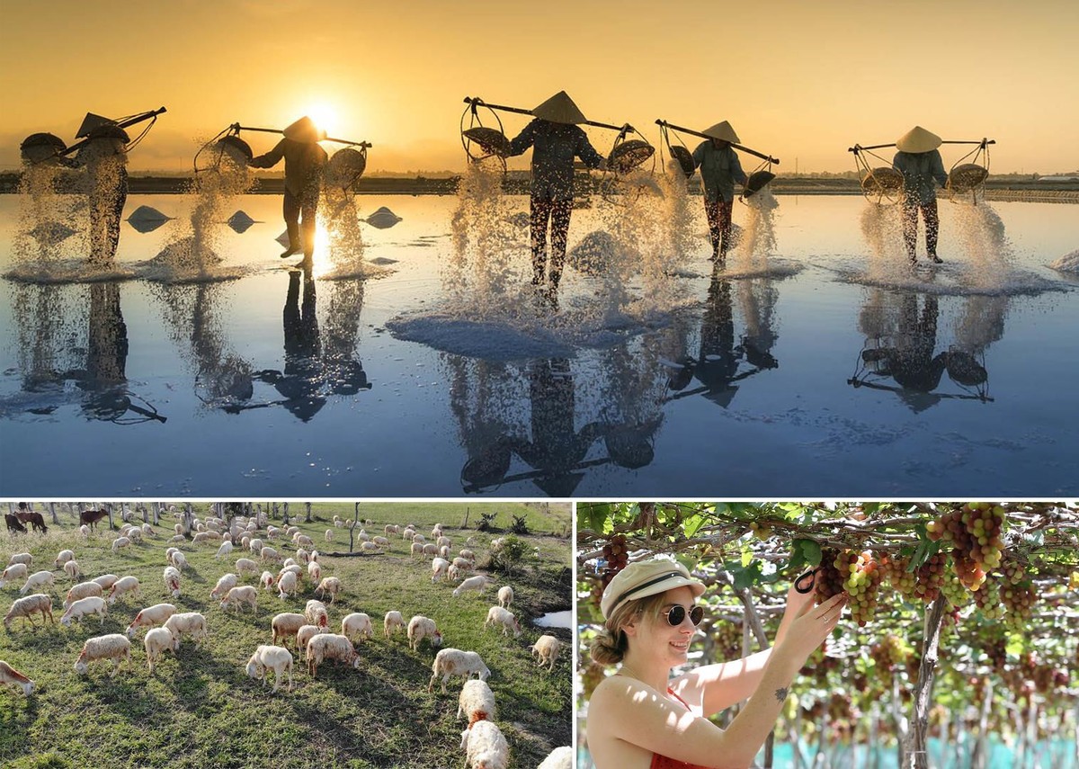 Sau 60 năm vẫn sinh lời, loại hình bất động sản nào giải được bài toán khó? ảnh 1