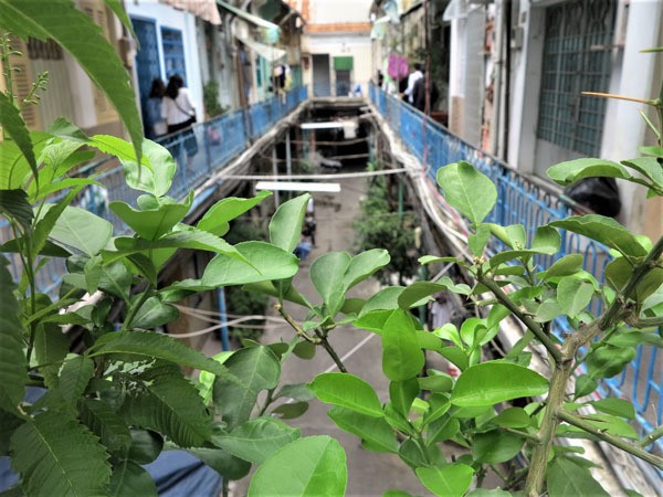 Bên trong con hẻm hơn 100 tuổi, khách Tây đến là mê ở Sài Gòn ảnh 3