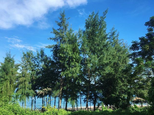 Khám phá đảo Cái Chiên: “Thiên đường bị bỏ quên” ở Quảng Ninh ảnh 3