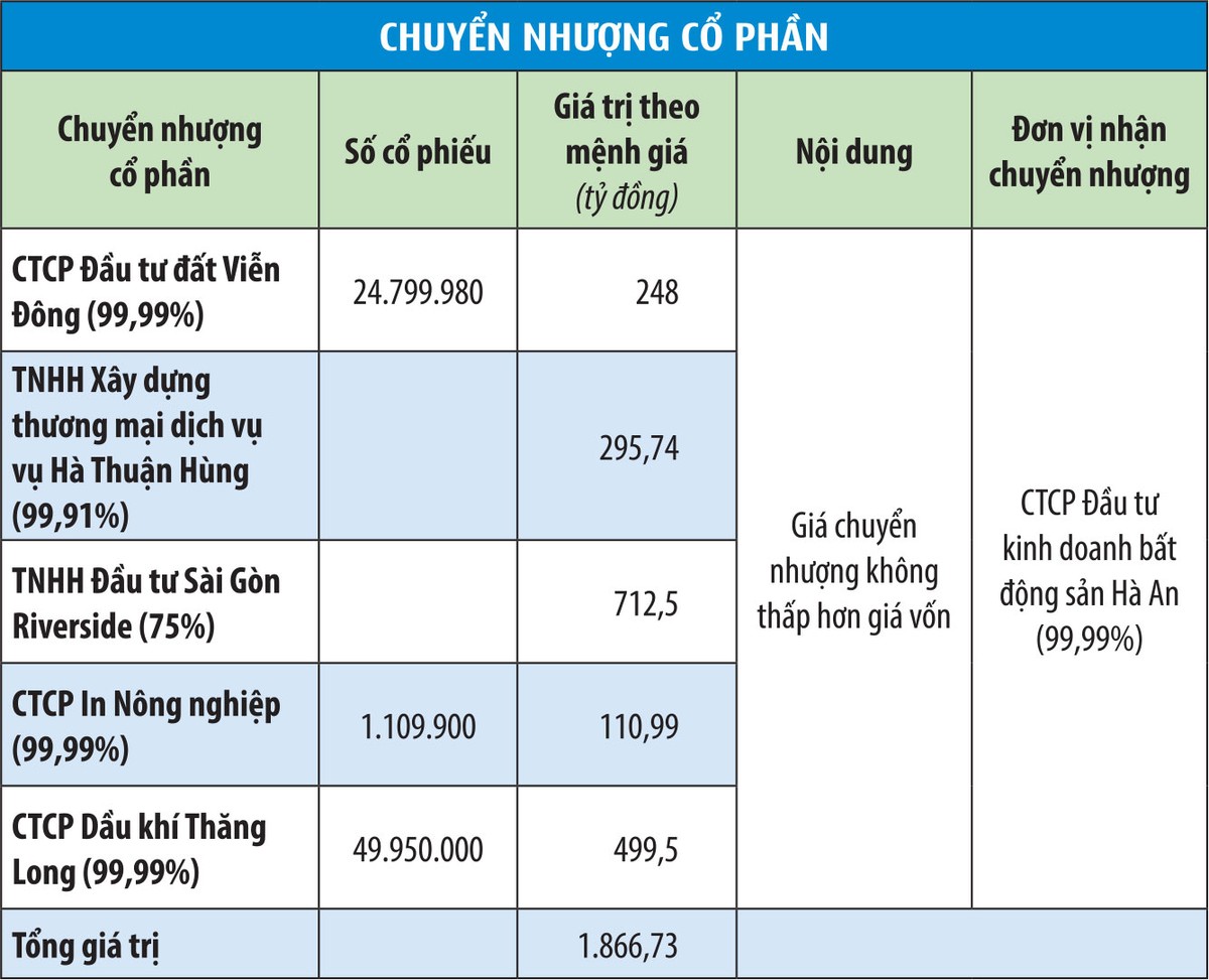 3.000 tỷ đồng mua đất vàng: Chờ Đất Xanh gọi vốn ảnh 1