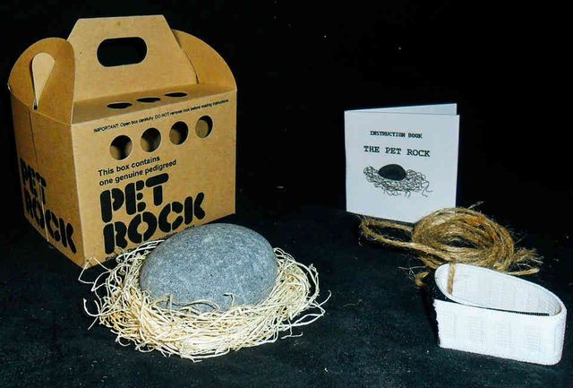 Những ý tưởng kinh doanh ngớ ngẩn đem về hàng tỷ đô la ảnh 1