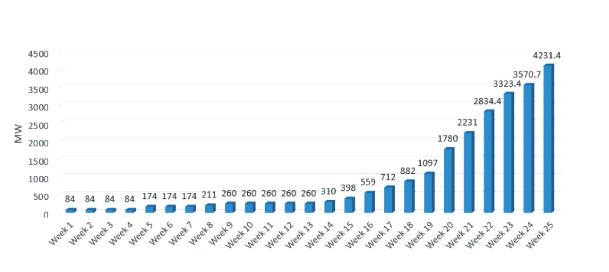 Giá điện mặt trời “giảm sốc”, nhà đầu tư vẫn hào hứng ảnh 1