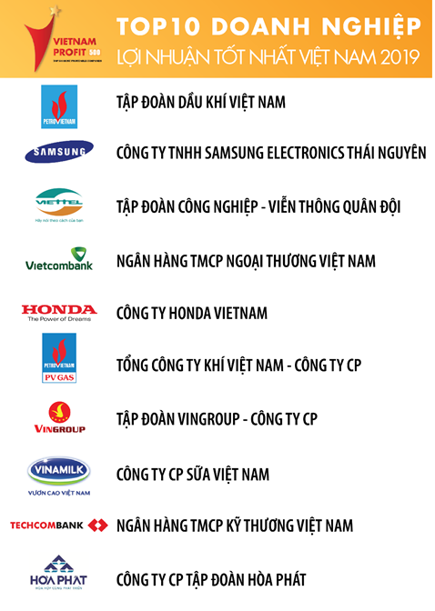 Techcombank là ngân hàng duy nhất có mặt trong Top 3 doanh nghiệp tư nhân có lợi nhuận tốt nhất năm 2019 ảnh 1