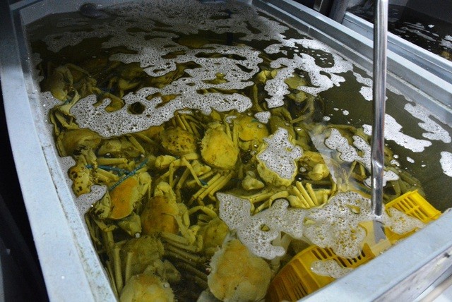 Cua pha lê hơn 4 triệu đồng/con, người Việt vẫn giành nhau mua ảnh 1