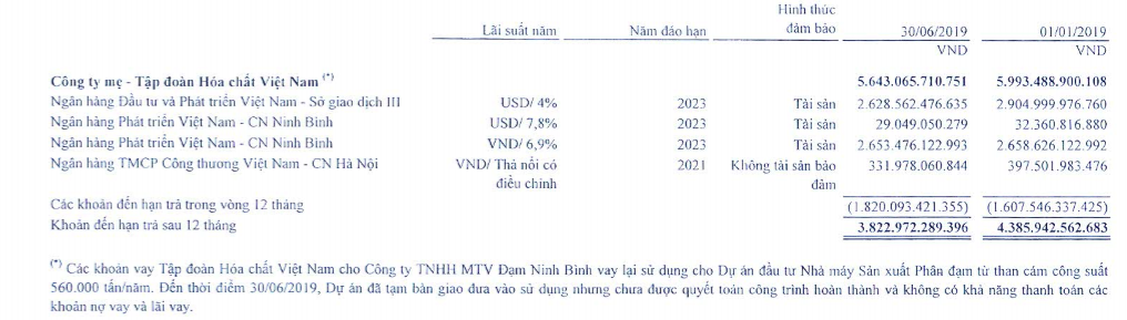 Phong tỏa thêm nghìn tỷ đồng cổ phiếu của Vinachem, “quả bom nợ” Đạm Ninh Bình vẫn treo lơ lửng ảnh 1