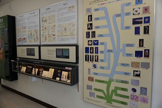 Bảo tàng đáng sợ nhất ở Nhật Bản ảnh 2
