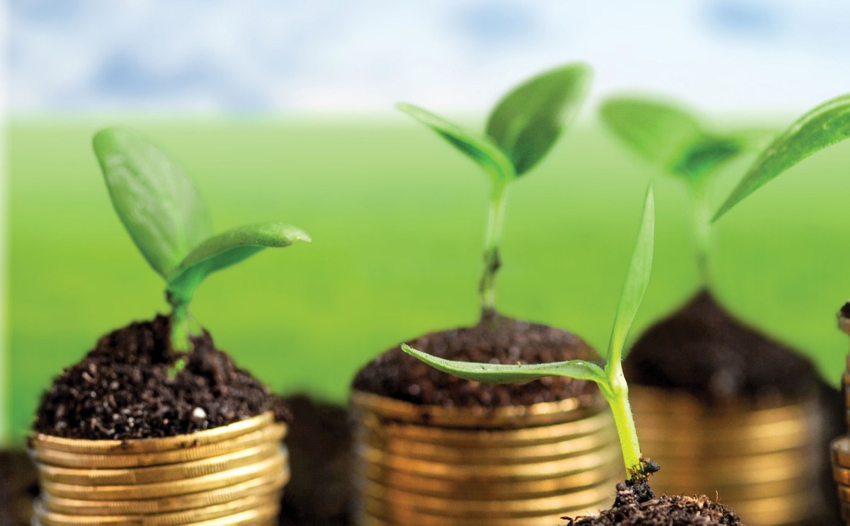 Ngành ngân hàng luôn đồng hành cùng doanh nghiệp với tín dụng xanh ảnh 2