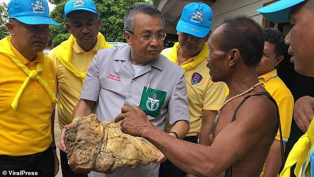 Đi bộ trên bãi biển, ngư dân vấp phải “cục nôn” cá voi giá hơn 7,4 tỷ đồng ảnh 1