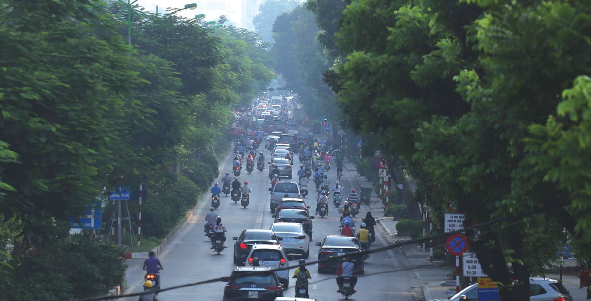 Điện mặt trời vẫn là kênh hút vốn tín dụng xanh lớn nhất ảnh 1