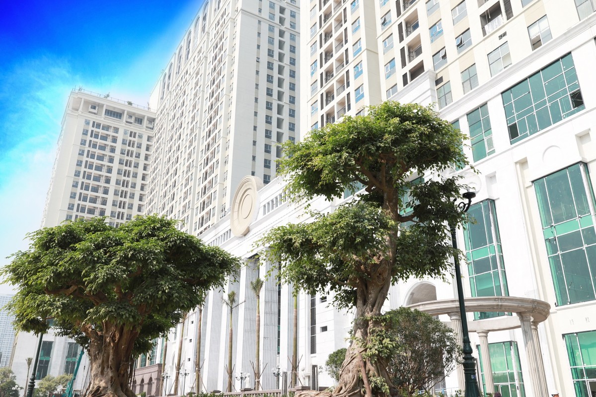 Roman Plaza “khoác áo mới” sẵn sàng bàn giao tháng 12/2019 ảnh 1