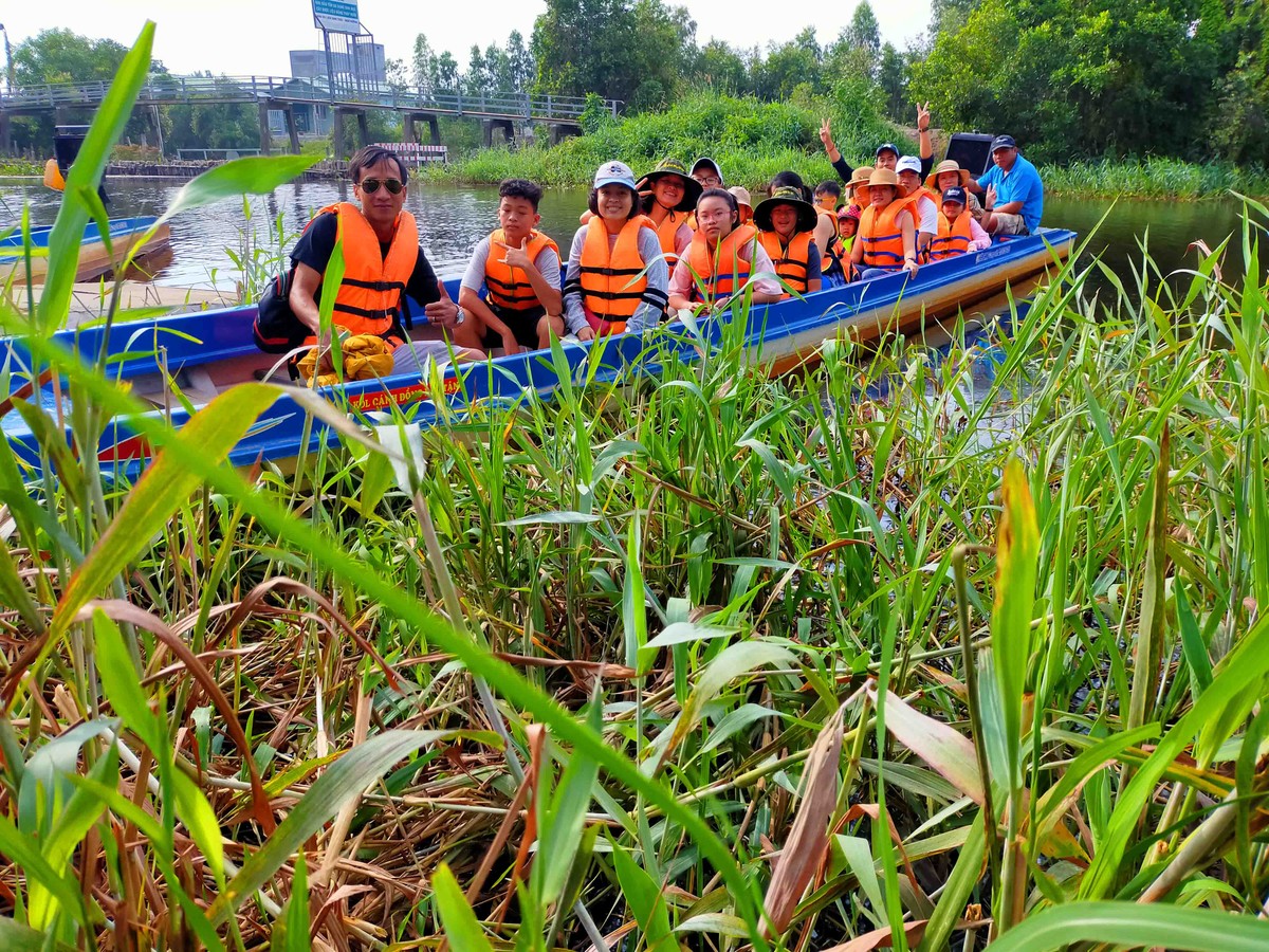 Khám phá Cánh Đồng Bất Tận ở Long An ảnh 2