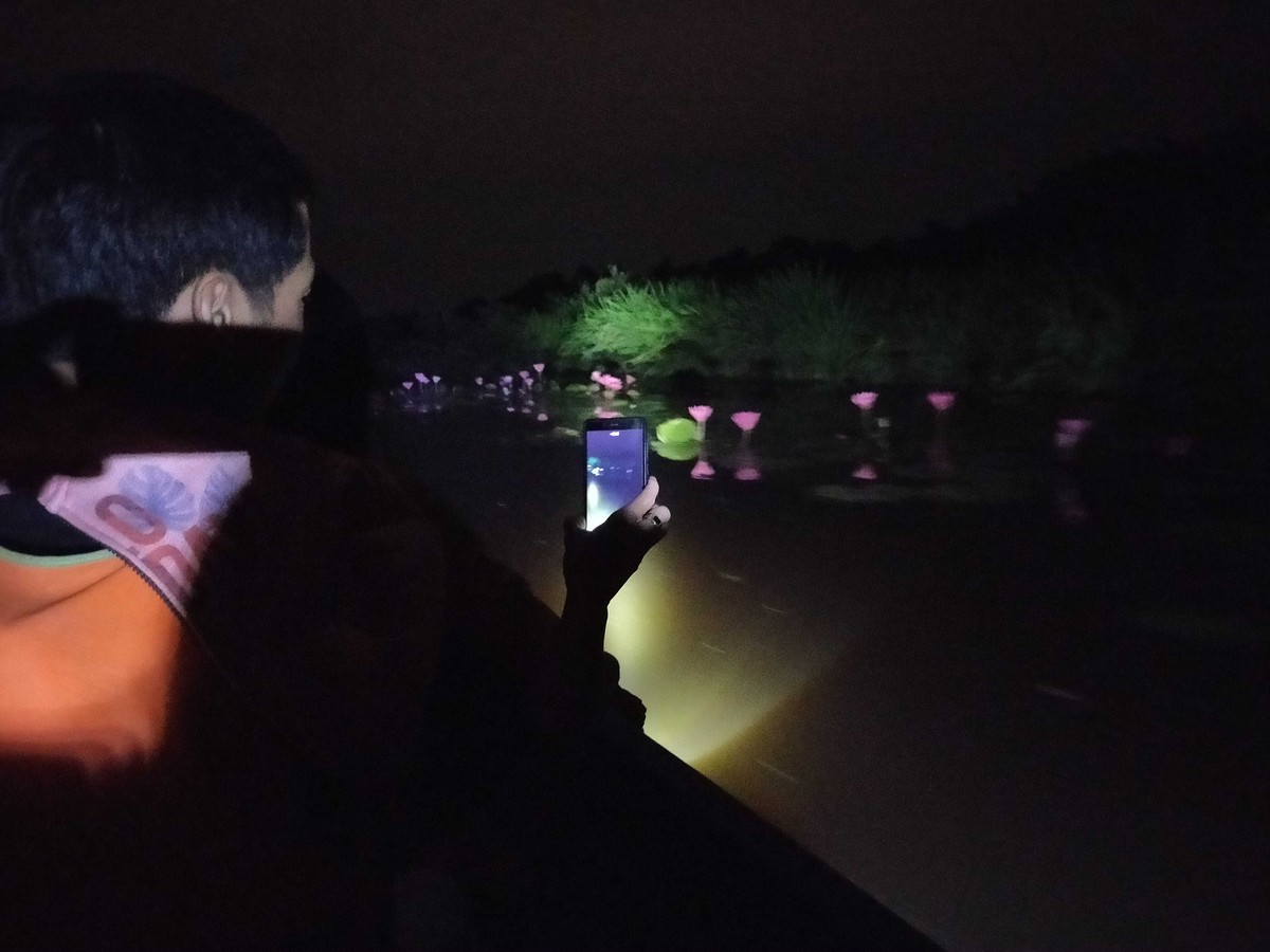 Khám phá Cánh Đồng Bất Tận ở Long An ảnh 6