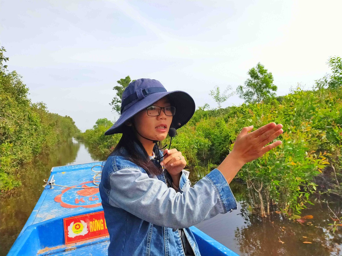 Khám phá Cánh Đồng Bất Tận ở Long An ảnh 8