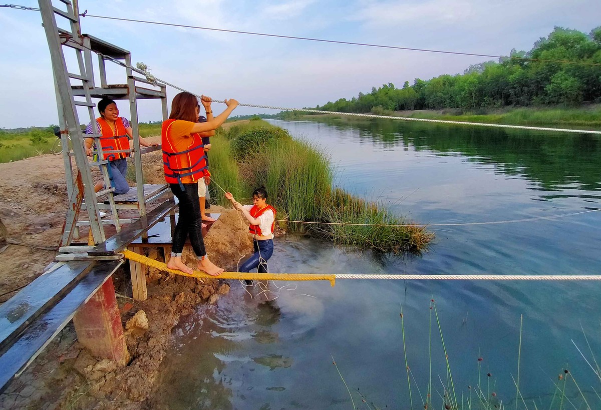 Khám phá Cánh Đồng Bất Tận ở Long An ảnh 11