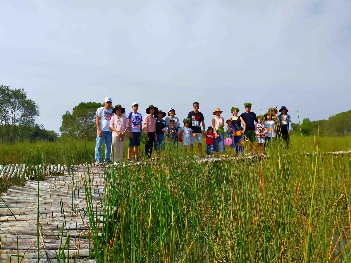 Khám phá Cánh Đồng Bất Tận ở Long An ảnh 13