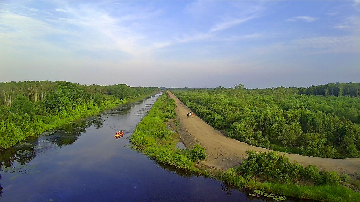 Khám phá Cánh Đồng Bất Tận ở Long An ảnh 15