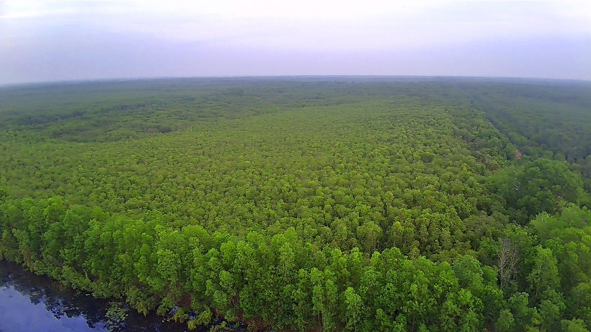 Khám phá Cánh Đồng Bất Tận ở Long An ảnh 16