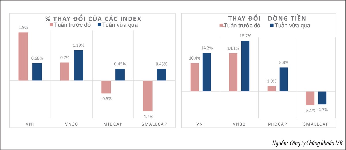 Thị trường tăng, nhà đầu tư vẫn... lỗ ảnh 2