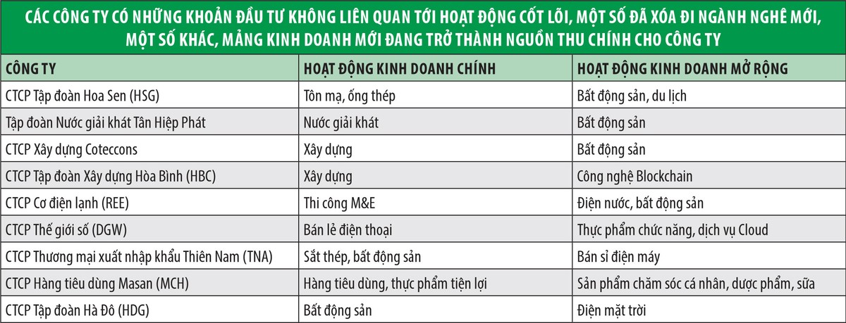 Rủi ro khi lấn sân sang lĩnh vực mới ảnh 1