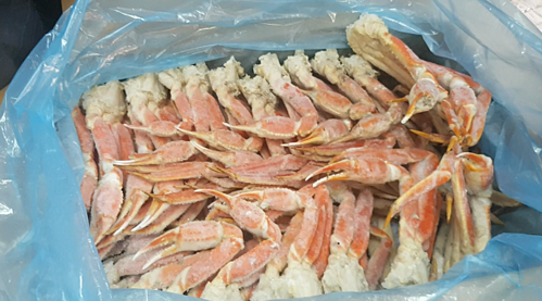 Cua tuyết về Việt Nam giá vài triệu đồng một con ảnh 1