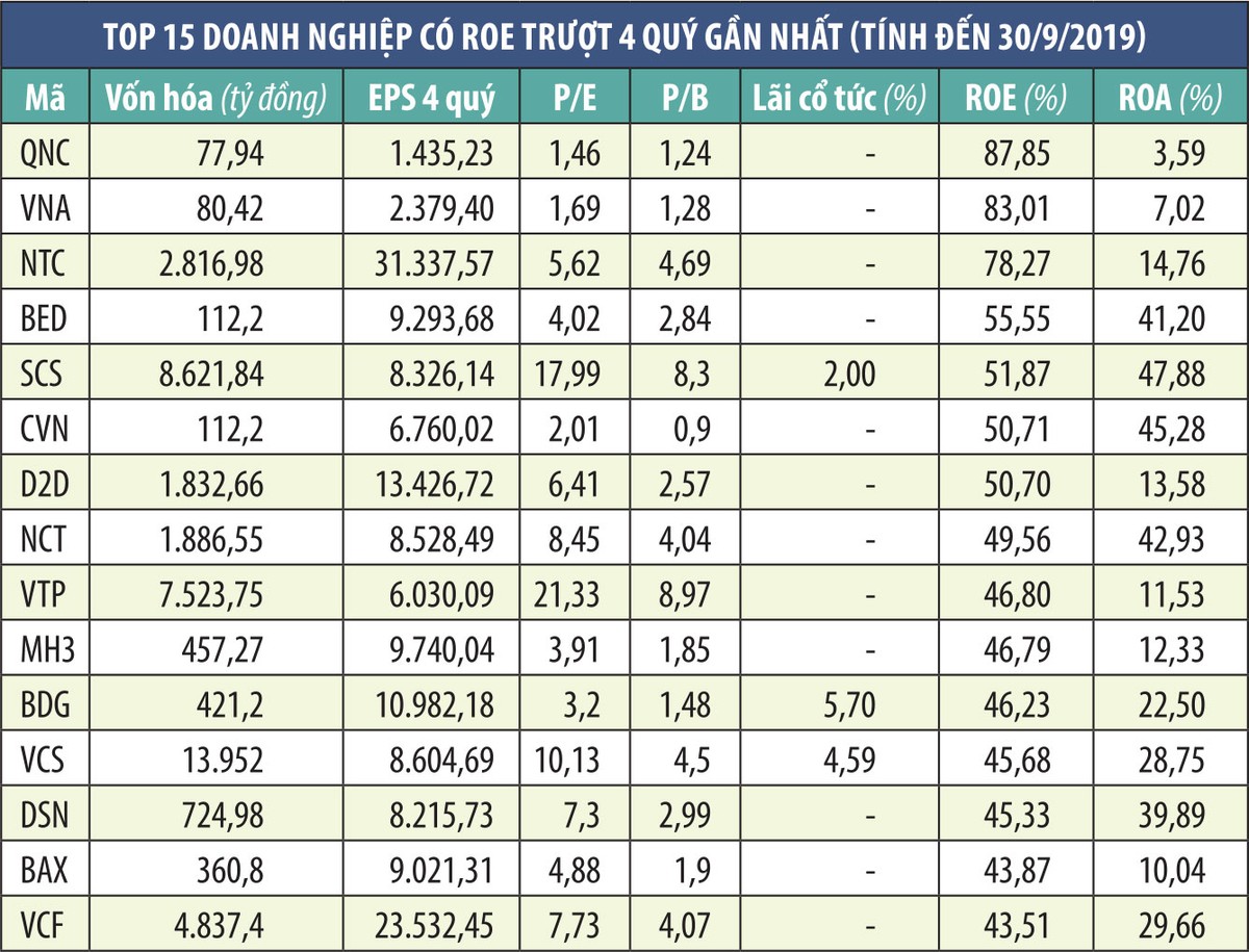 Nhìn ROE đầu tư: “Đường dài mới biết ngựa hay“ ảnh 1