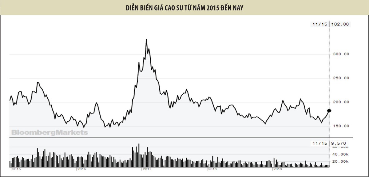 Đầu tư Cao su Đắk Lắk (DRI): Rừng cao su lớn, năng suất cao, nhưng lợi nhuận thấp ảnh 2