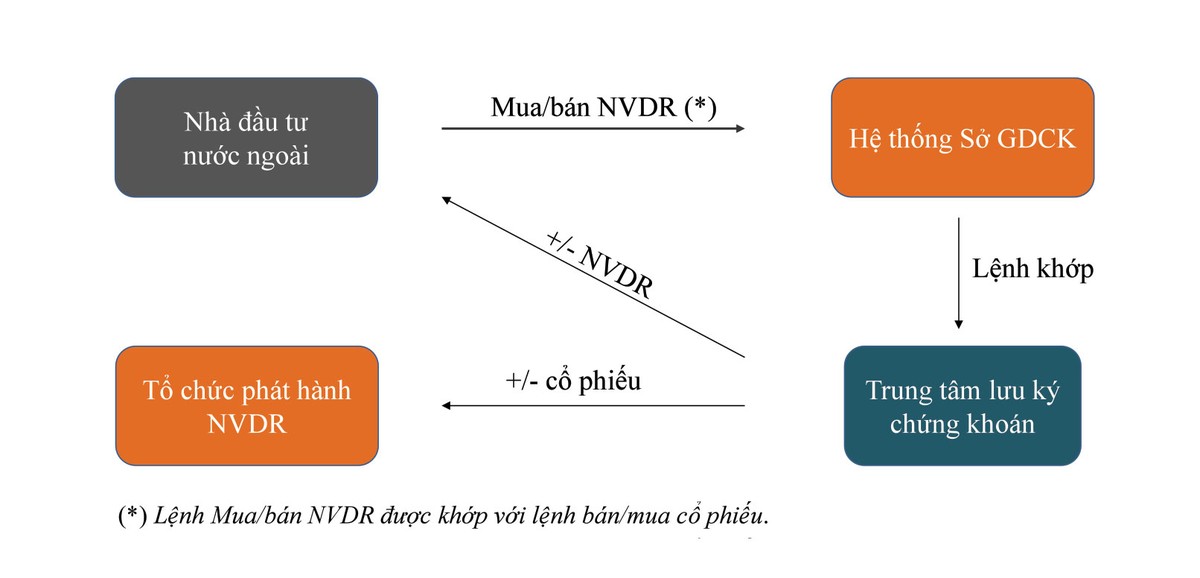 Sửa Luật Doanh nghiệp: Huy động vốn sẽ tích cực hơn ảnh 2