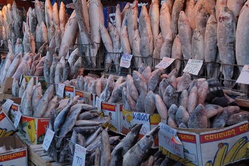 Thành phố có mùa đông lạnh nhất thế giới ảnh 1