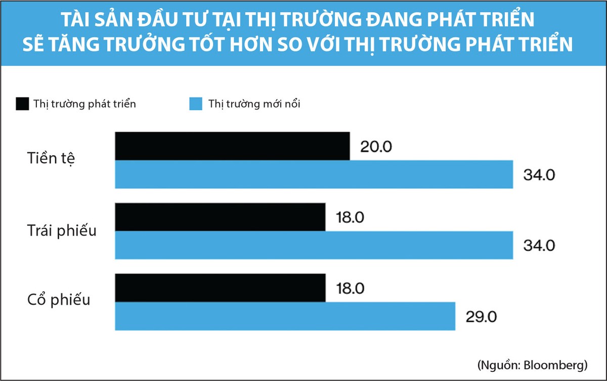 Triển vọng của các thị trường mới nổi tiếp tục sáng trong 2020 ảnh 1