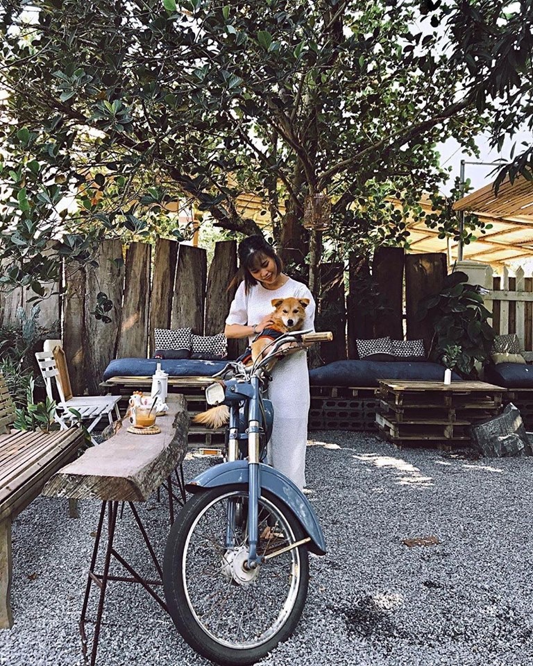 4 quán trà, cà phê nhiều góc sống ảo ở Hội An ảnh 9