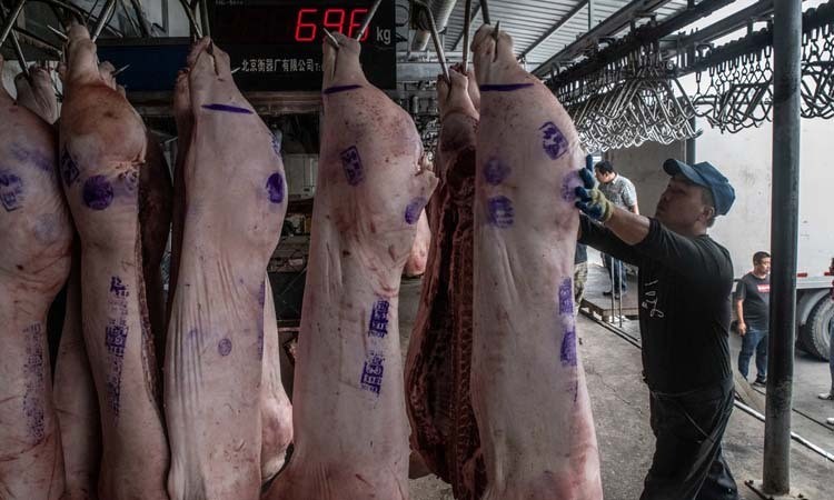 Trung Quốc quay cuồng vì dịch tả lợn châu Phi ảnh 1