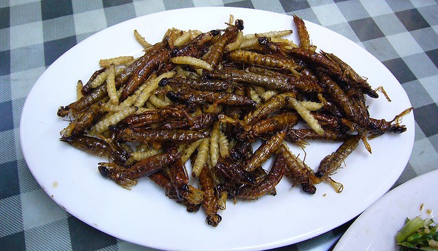 13 phong tục đón Giáng sinh “kỳ cục” nhất trên thế giới ảnh 5