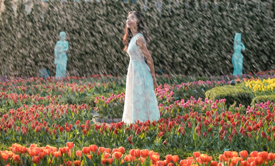 “Chị chị em em”, Tết này bếp núc làm chi, lên mà xem Bà Nà rực rỡ tulip với hoa hồng ảnh 2