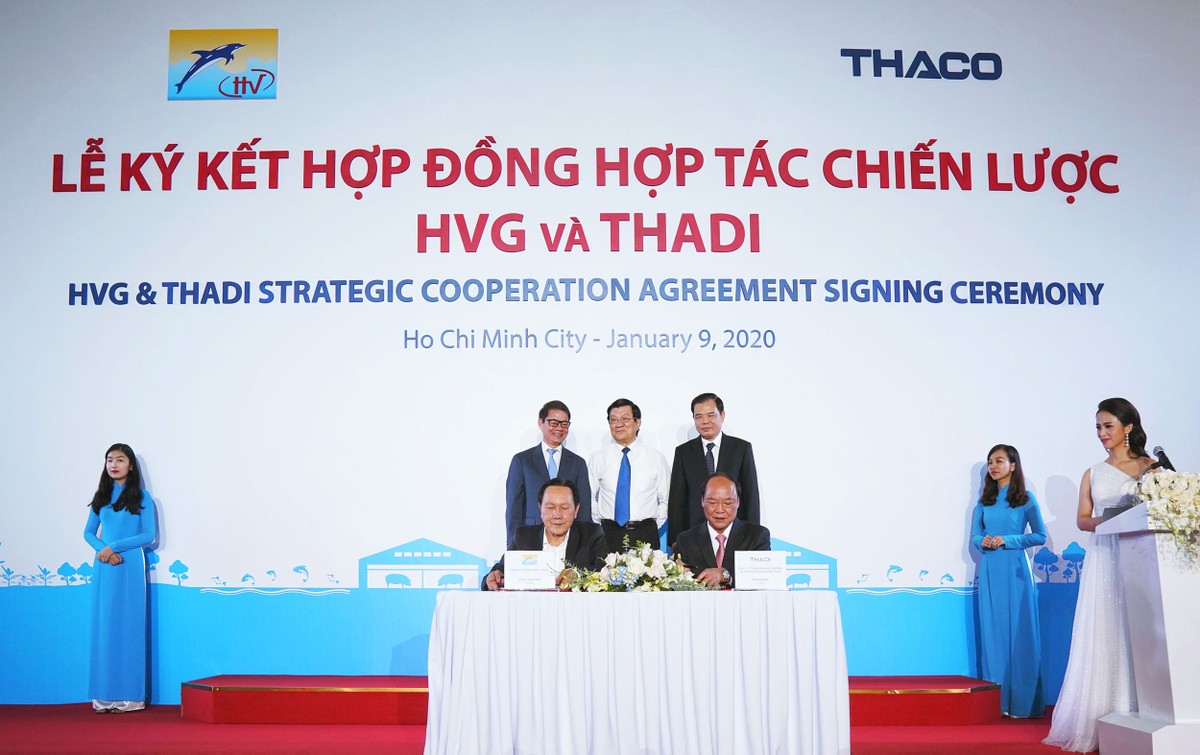 Chuyện ông Dương Trường Hải “xắn tay” nuôi heo ảnh 1