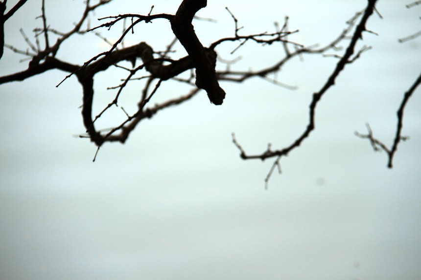 Nghĩ về Hà Nội ảnh 7