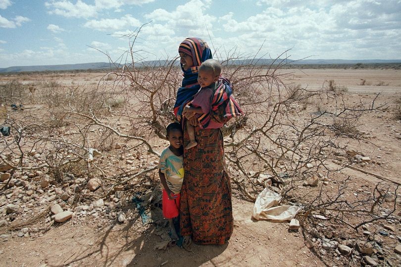 22 tỷ phú giàu nhất thế giới có tài sản lớn hơn tất cả phụ nữ châu Phi ảnh 1