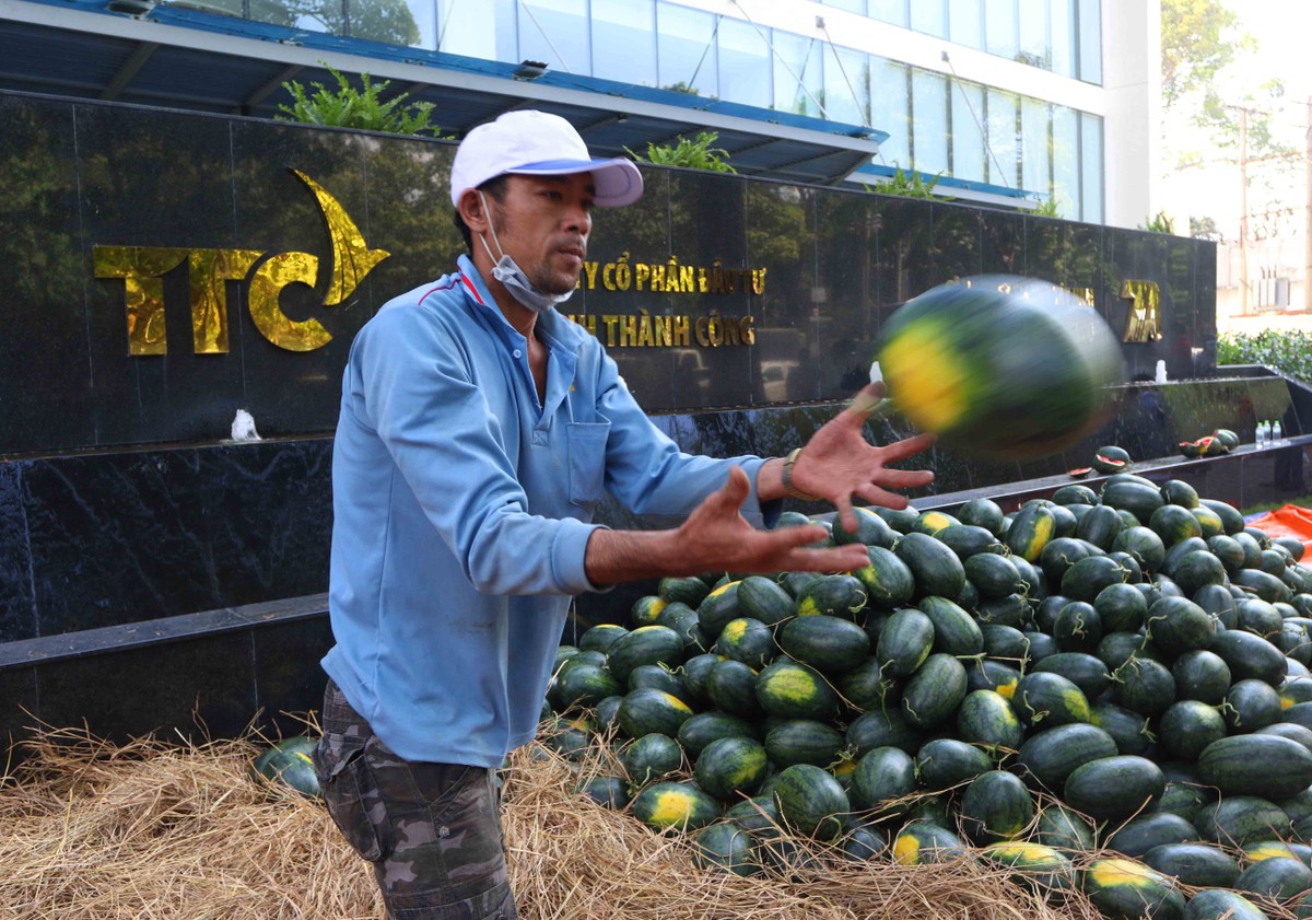 Hội doanh nhân trẻ Việt Nam và Cán bộ nhân viên TTC hỗ trợ tiêu thụ nông sản ảnh 5