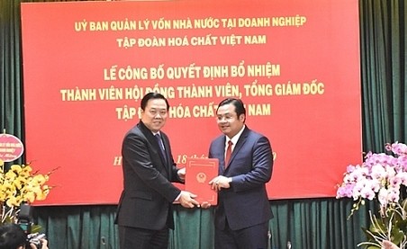 Trao quyết định bổ nhiệm lãnh đạo Tập đoàn Hóa chất Việt Nam và Tổng công ty Lương thực miền Bắc ảnh 1