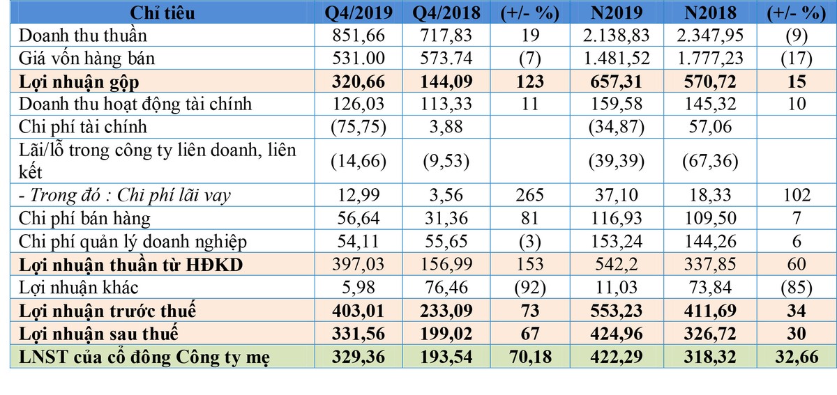 Lãi ròng quý IV tăng mạnh, Tập đoàn DIC (DIG) vượt kế hoạch lợi nhuận năm 2019  ảnh 1