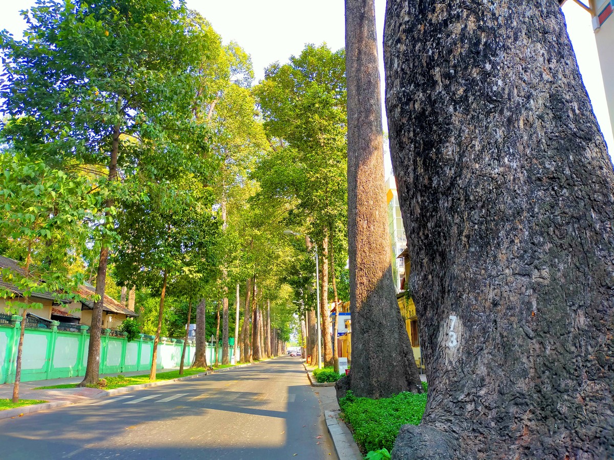 Sài Gòn đang … sống chậm ảnh 1