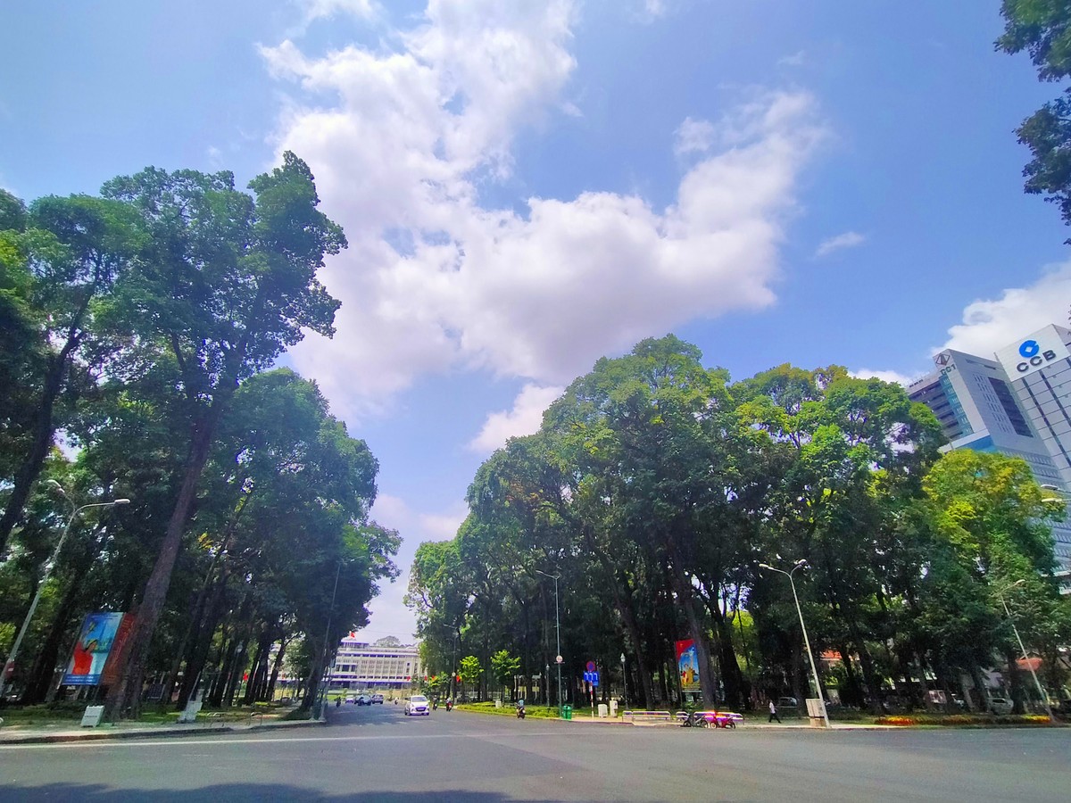 Sài Gòn đang … sống chậm ảnh 6