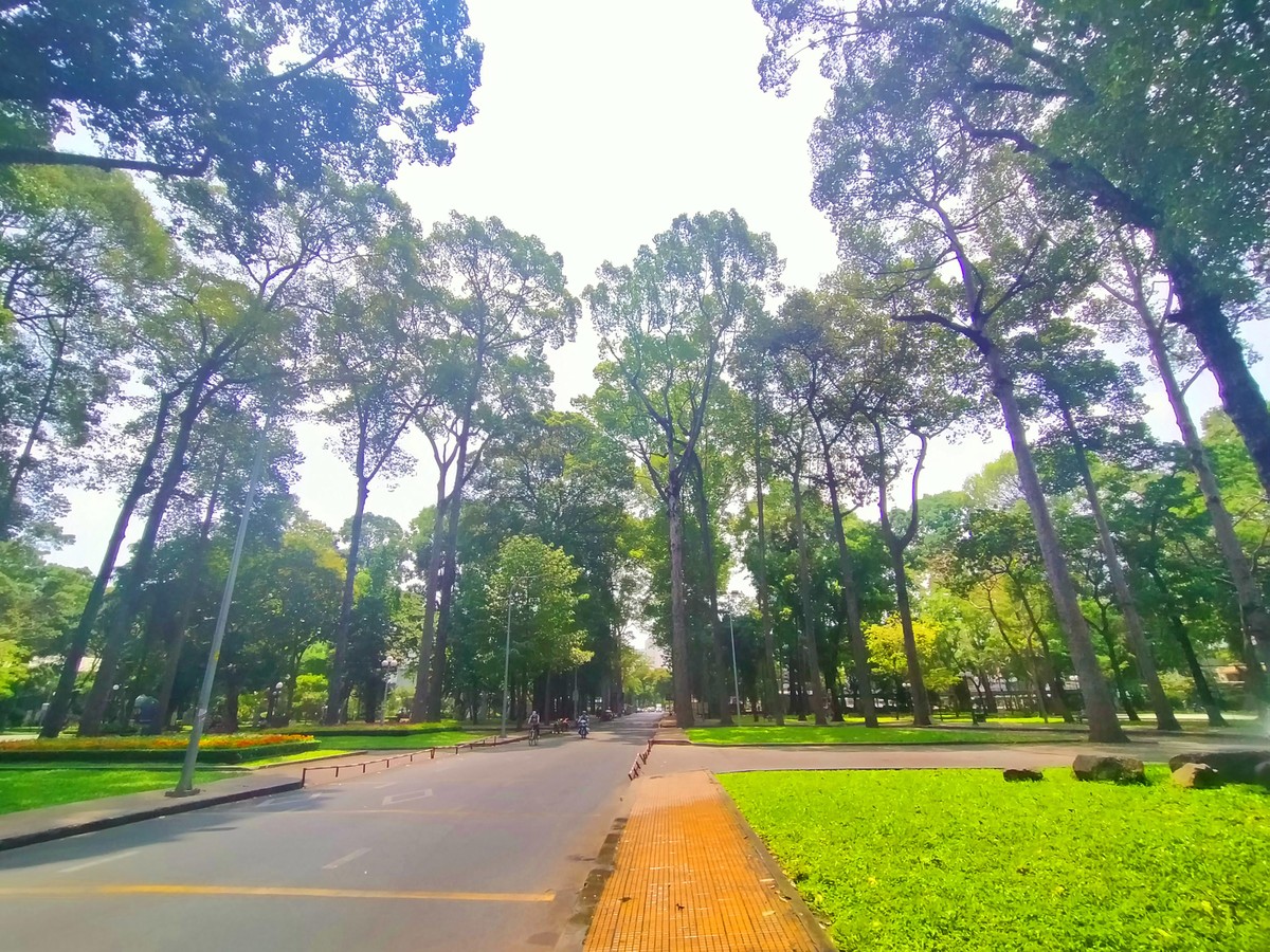 Sài Gòn đang … sống chậm ảnh 7