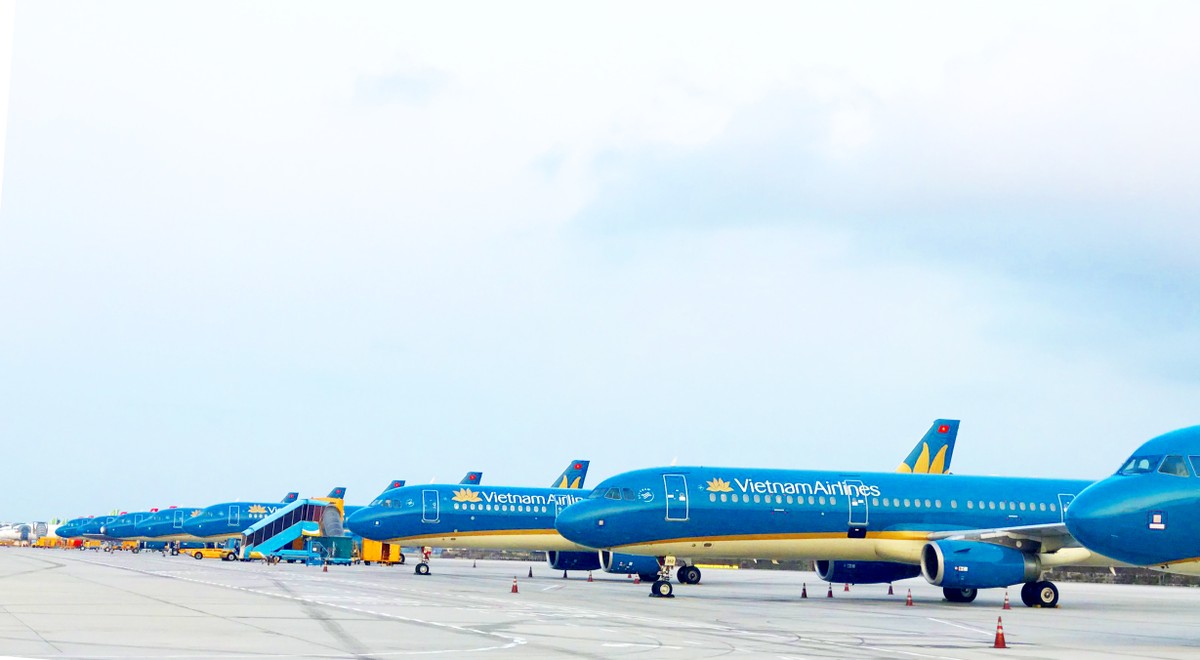 TP.HCM: Máy báy, xe khách và buýt sông xếp hàng dài do ảnh hưởng Covid-19  ảnh 4