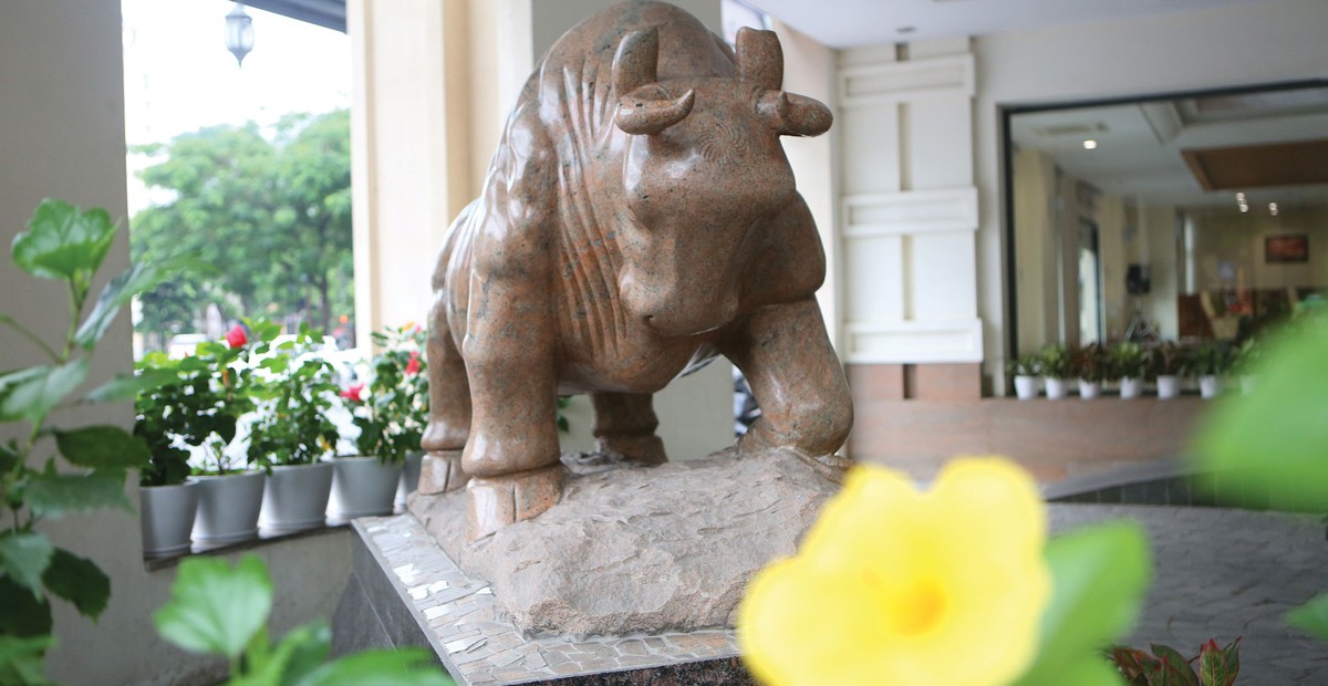 Dự phòng giải pháp mạnh cho thị trường chứng khoán Việt Nam ảnh 1