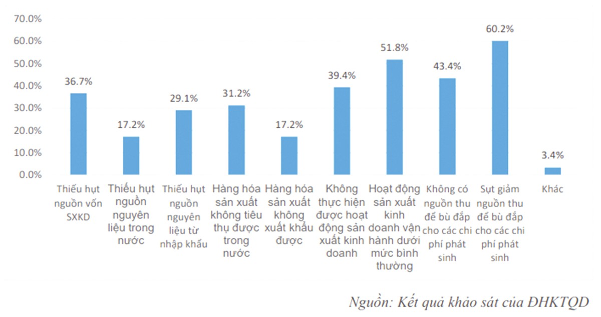 Dấu hiệu doanh nghiệp có khả năng vực dậy nhanh sau khủng hoảng ảnh 1