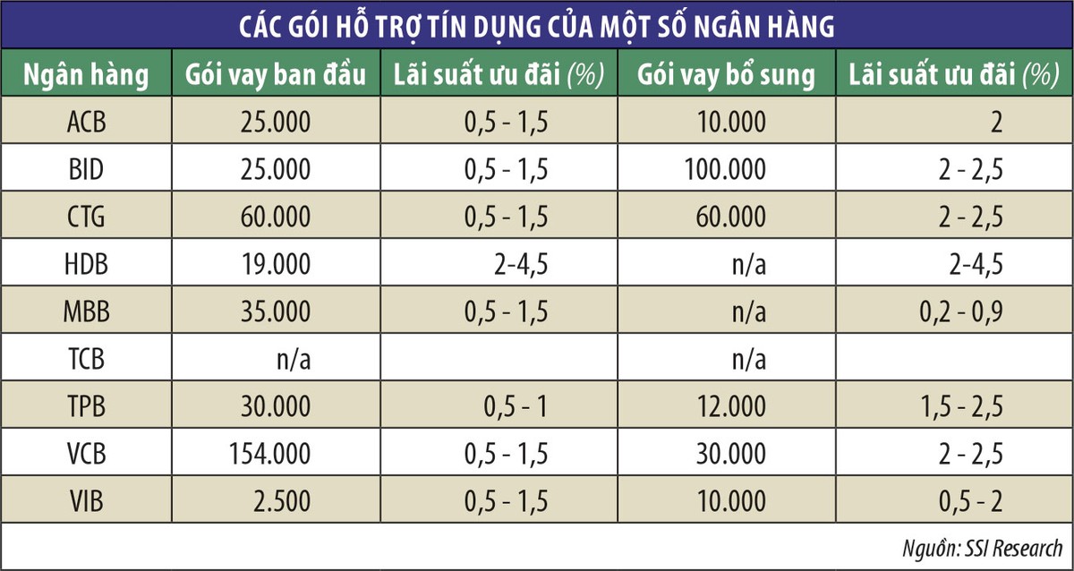 Hỗ trợ doanh nghiệp, nỗi lo hiệu quả ngân hàng suy giảm ảnh 1