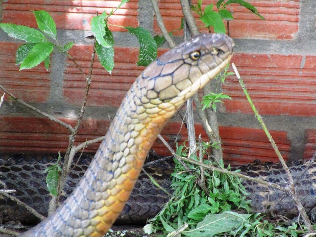 Tạc lại ký ức ảnh 1