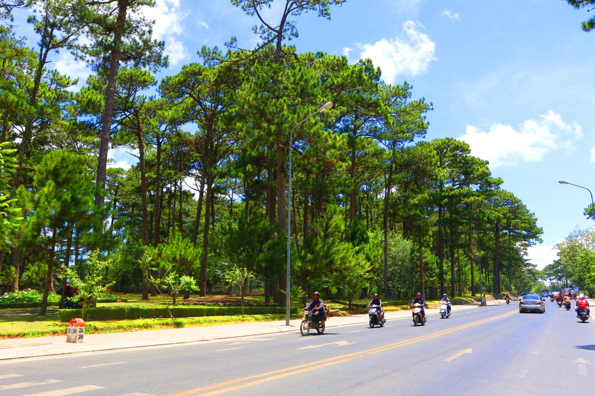 Đà Lạt luôn có những nhịp trầm đúng kiểu của xứ sở mộng mơ ảnh 5